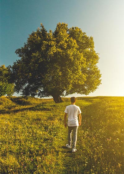 guy in field with tree