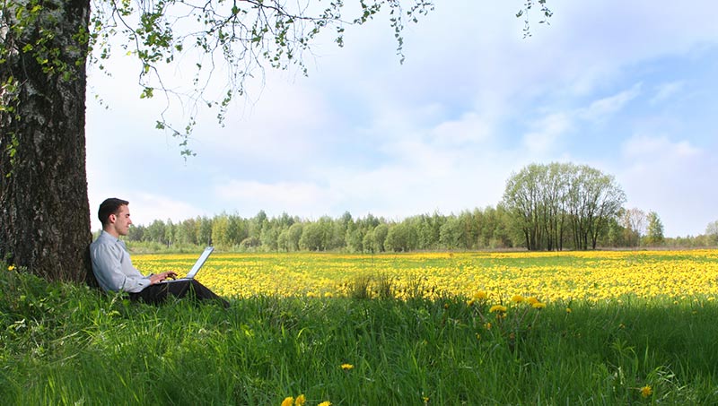 guy on laptop by tree