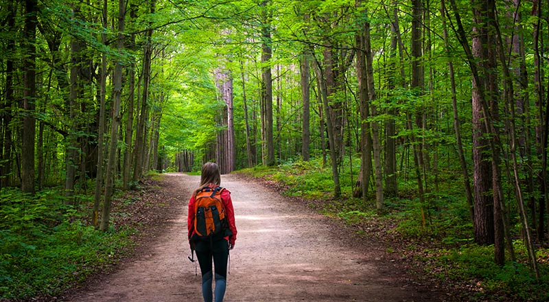 woman green hiking path