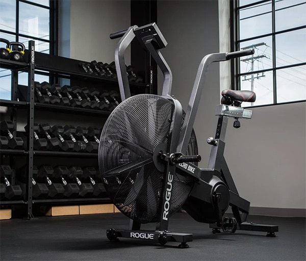 rogue echo bike