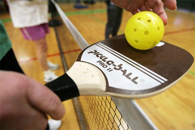 pickleball paddle with ball