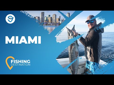 Fishing in Miami: All You Need to Know | FishingBooker