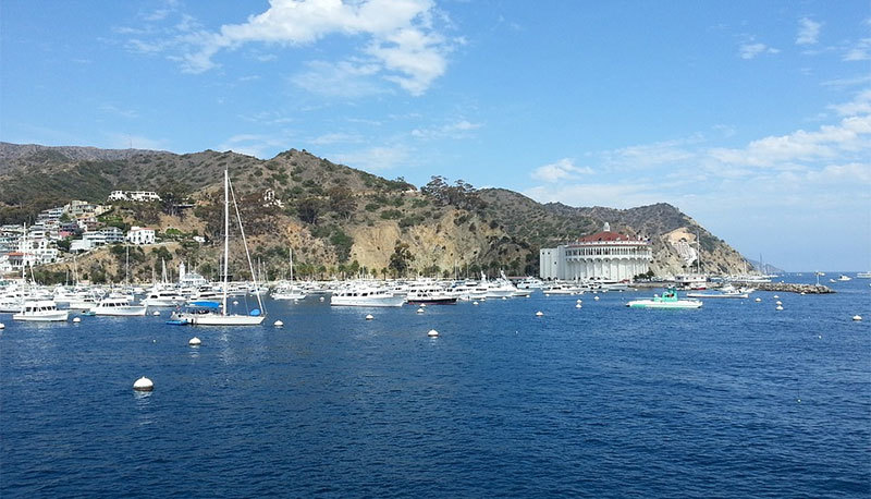 Best Snorkeling Spots on Catalina Island | Active Weekender