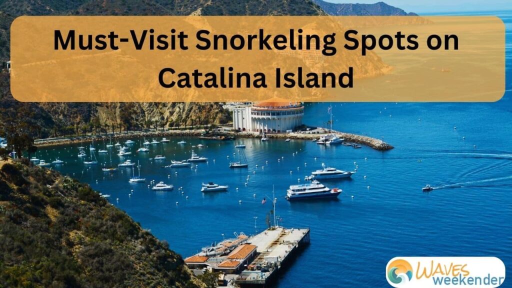 Must-Visit Snorkeling Spots on Catalina Island