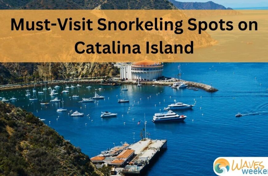 Must-Visit Snorkeling Spots on Catalina Island