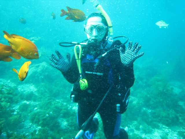 dive park at Casino Point