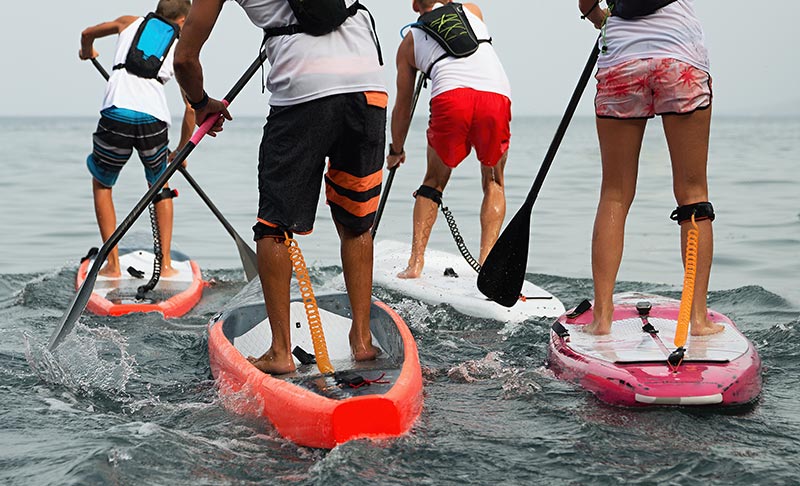 group of paddle boarders