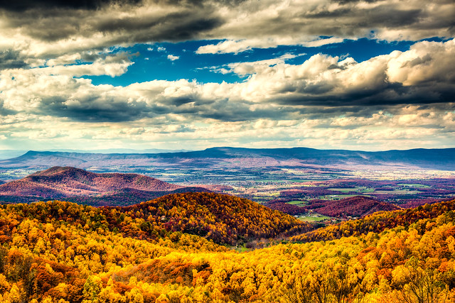 Shenandoah Fall