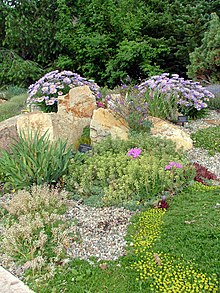 Betty Ford Alpine Gardens