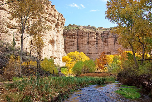 Aravaipa Canyon east end - Autumn colors