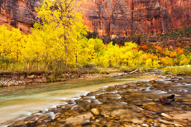 Flowing Into Autumn