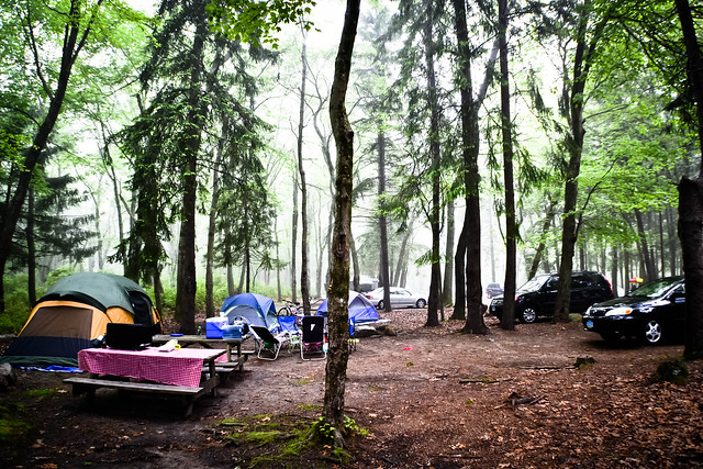 Camp site