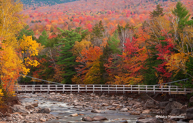 Bridge across Swift River