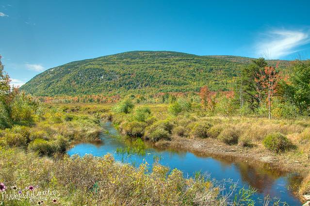 Acadia National Park-0726