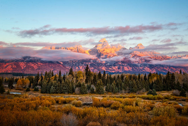 Pink Tetons