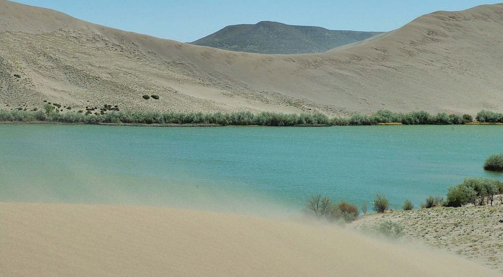 Bruneau sand dunes