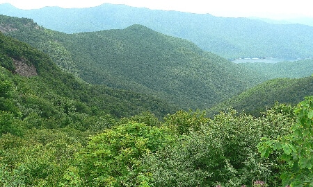 craggy garndes blueridge parkway