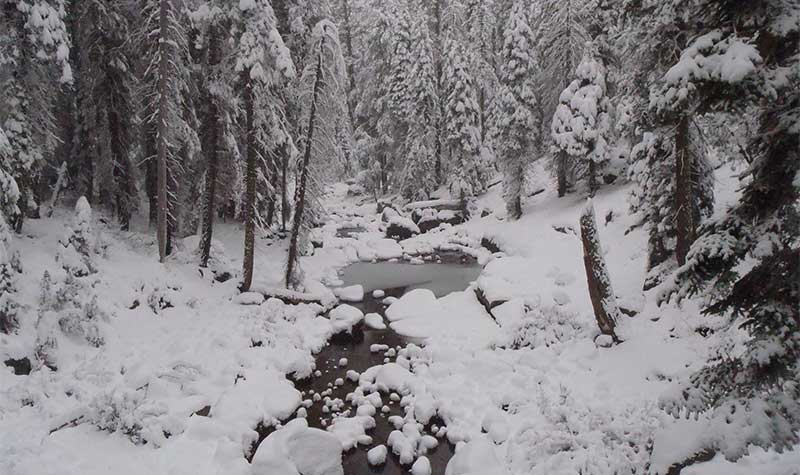 Sequoia National Park