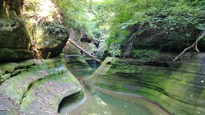 Starved Rock State Park