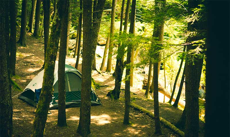 camping under trees