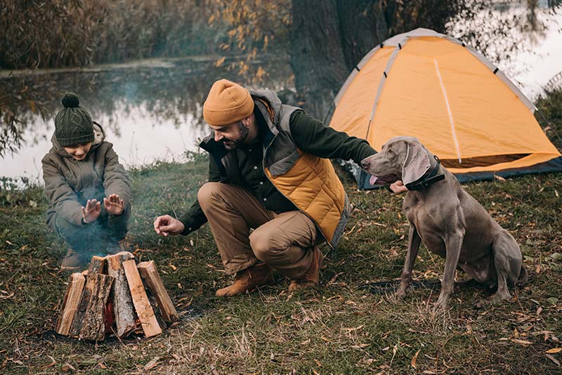 dog camping