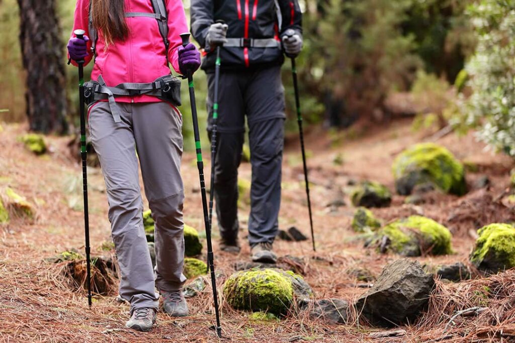 hikers using trekking poles