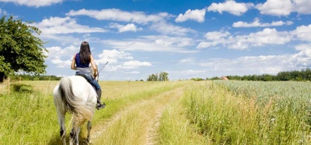 horseback riding