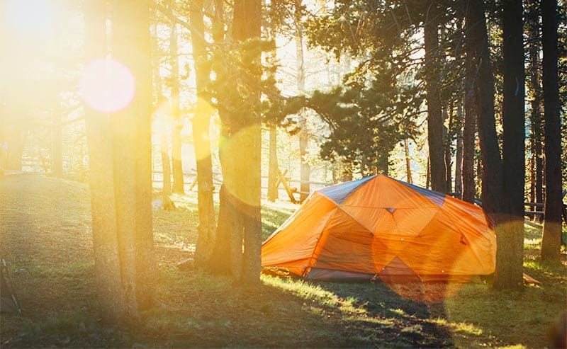 orange tent in woods