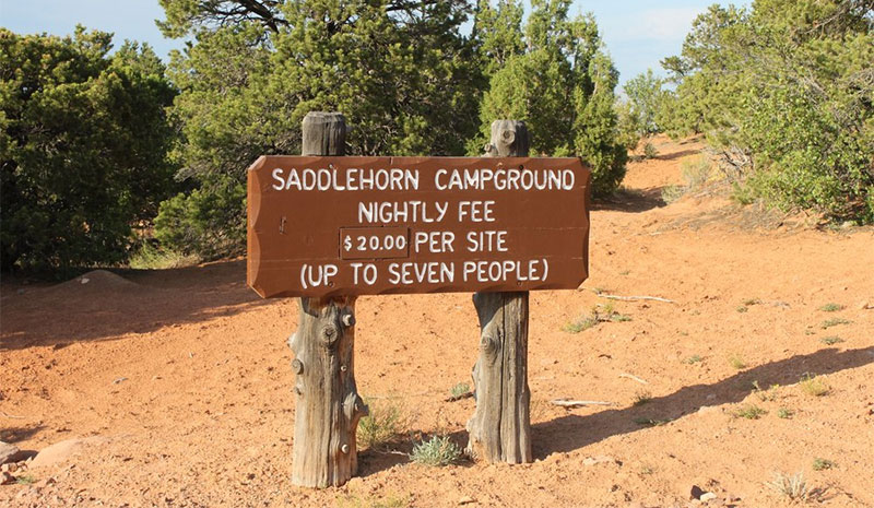 saddlehorn campground