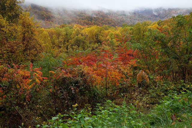 great smoky mountains nat park