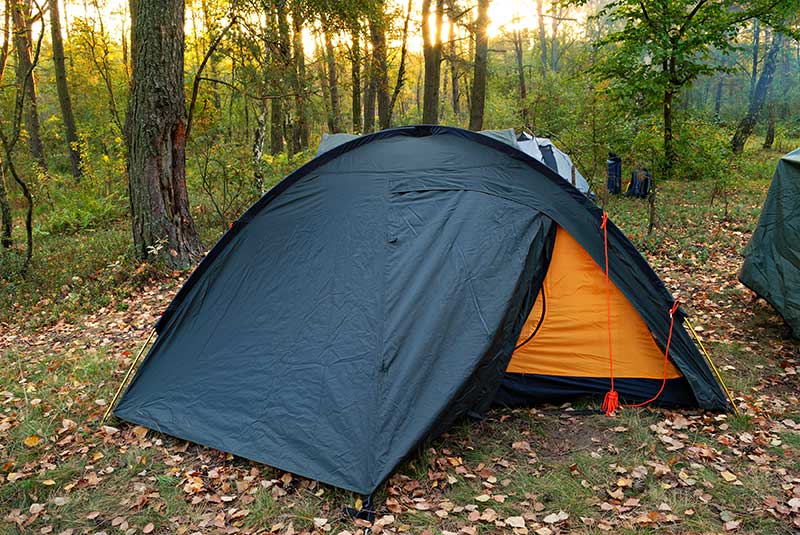 tent in woods