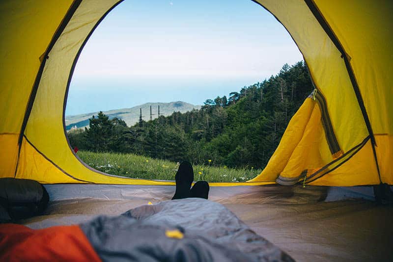 view from tent camping