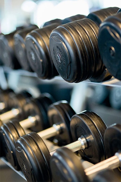 weights rack